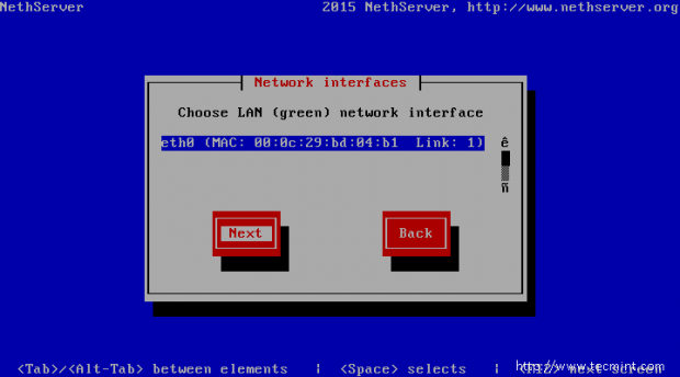 Choose Network Interface