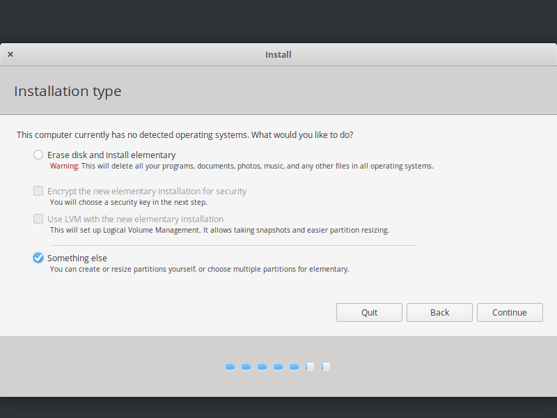 Elementary OS Installation Type