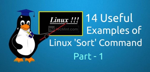 Sort Commands in Linux