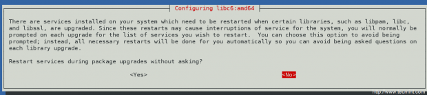 Configuring libc in Debian Jessie