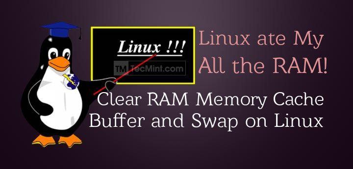 vold Elemental klassisk How to Clear RAM Memory Cache, Buffer, and Swap on Linux