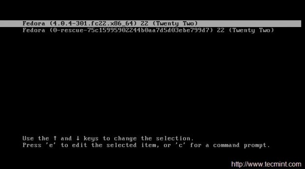 Fedora 22 Boot Option