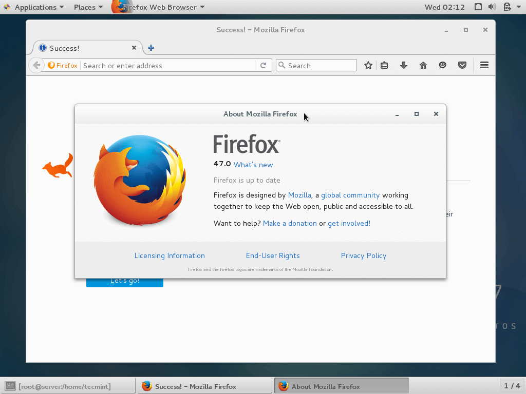 Install Firefox in Linux