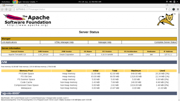 Apache Tomcat Server Status