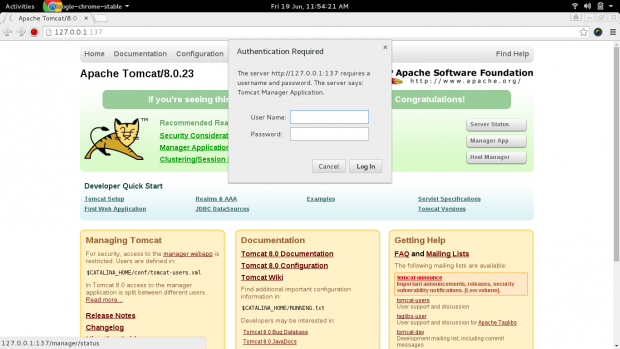 Apache Tomcat User Login