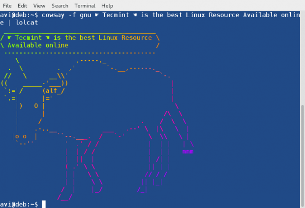 Cowsay with Lolcat
