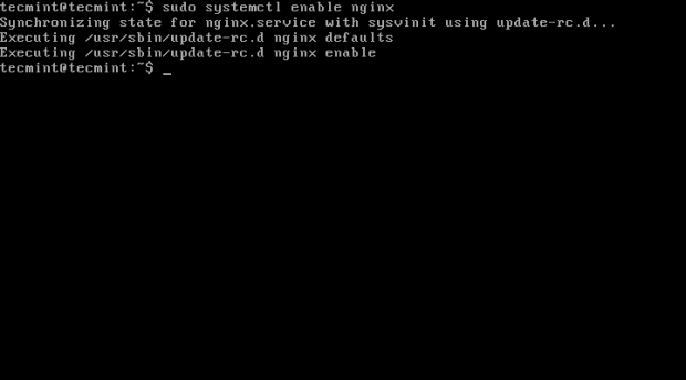 Enable Nginx At Boot