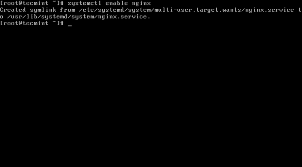 Enable Nginx at Boot