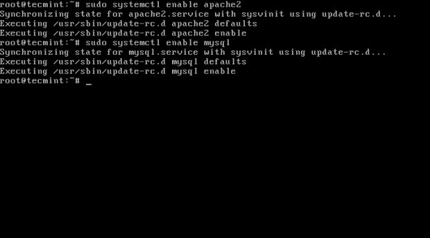 Enable Services at Boot
