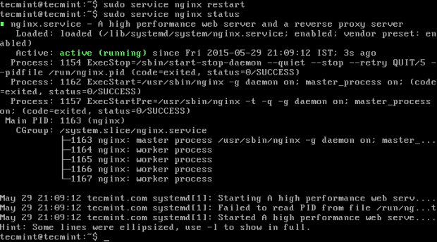 Restart Nginx Server