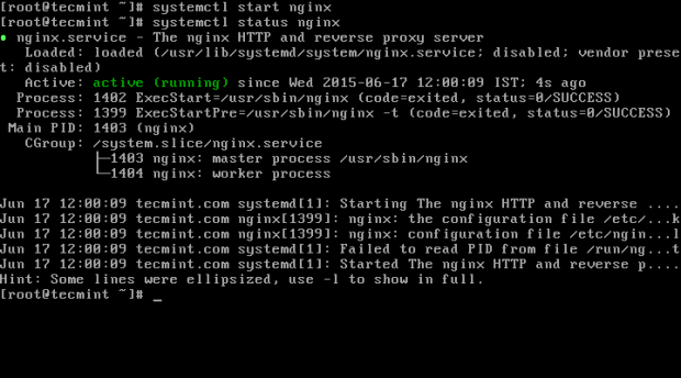 Start Nginx Service