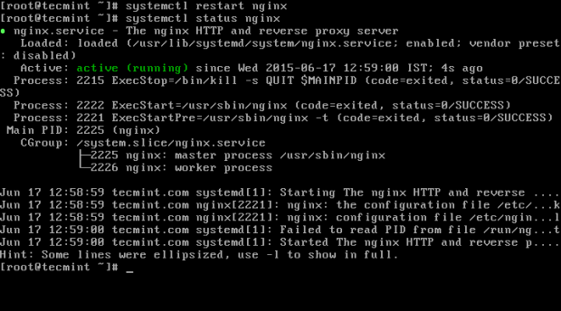 Start Nginx Service