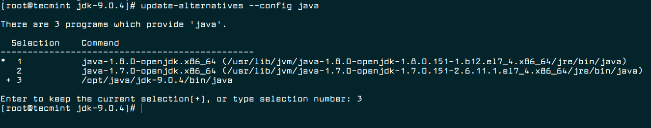 Update Java Alternatives