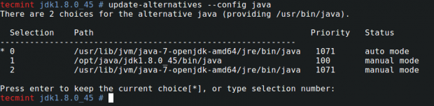 Update Java Alternatives