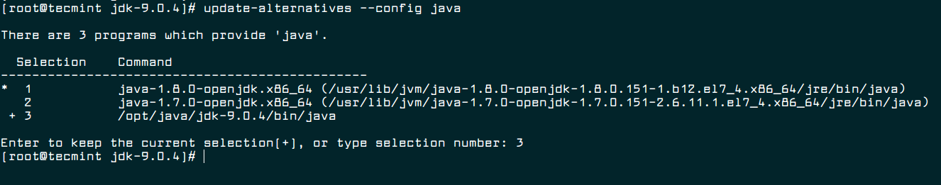Java 8 45. Java JDK Интерфейс. Состав JDK. Java JDK ЗПС Astra Linux.