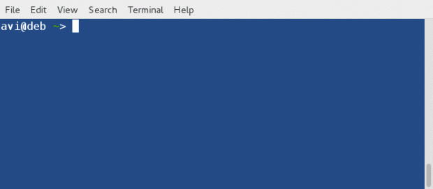 Check Command Exit Status
