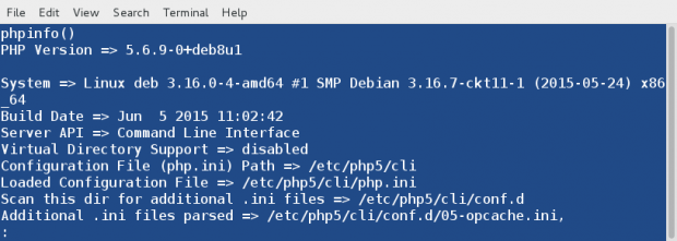 PHP Info Output