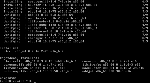 Ricci Installed Summary