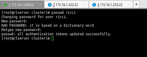 Set Ricci Password