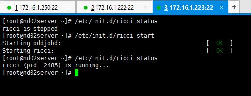 Start Ricci On Node 02