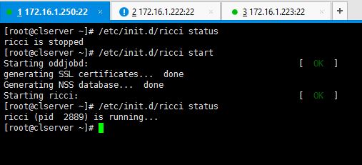 Start Ricci Service on Cluster Server