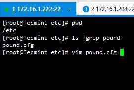 Pound Webserver 1