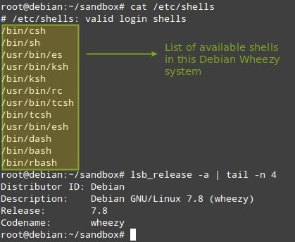  Verificar Shell y la versión del SO Debian 