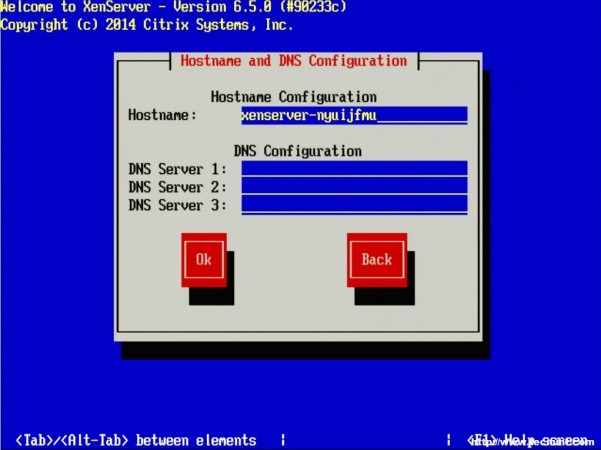 Hostname and DNS Configuration