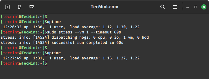 Conducting Virtual Memory Stress Test