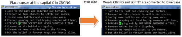 Convert String to Lowercase in Vim Editor