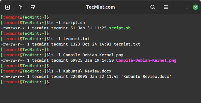 Determine Type of a File in Linux