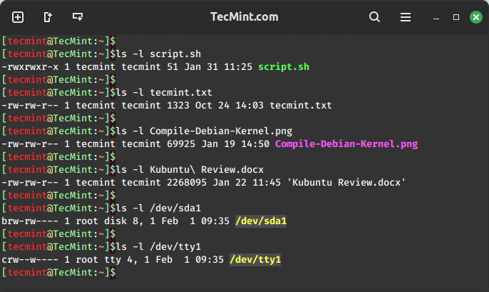 Determine Type of a File in Linux