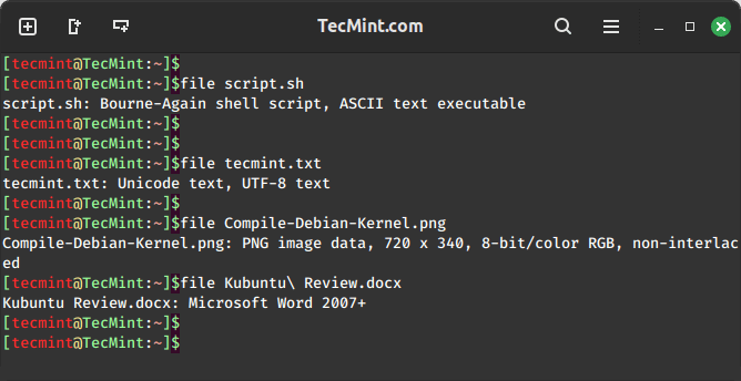 Find Type of a File in Linux