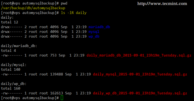 MySQL Daily Database Backup