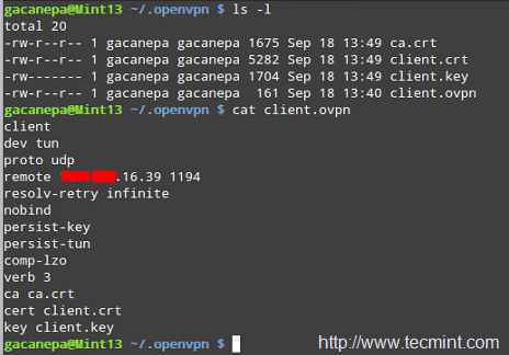 create openvpn config file linux server