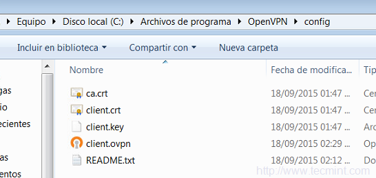 openvpn client windows