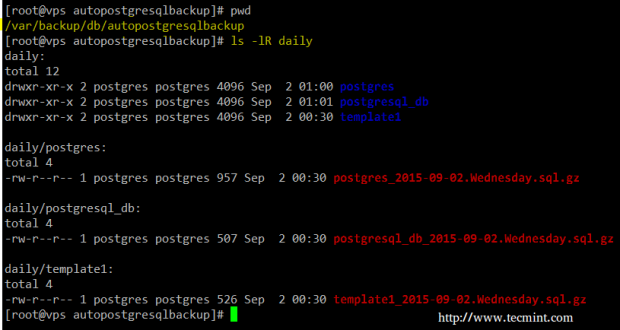 PostgreSQL Daily Database Backup