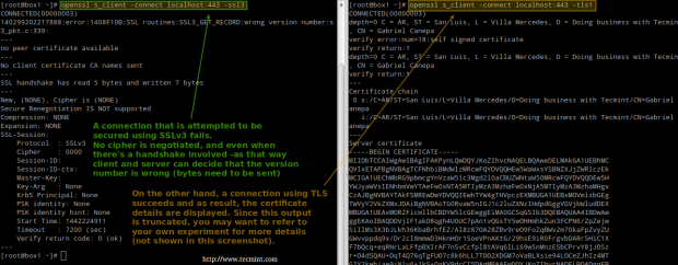 Testing Apache SSL and TLS Connections