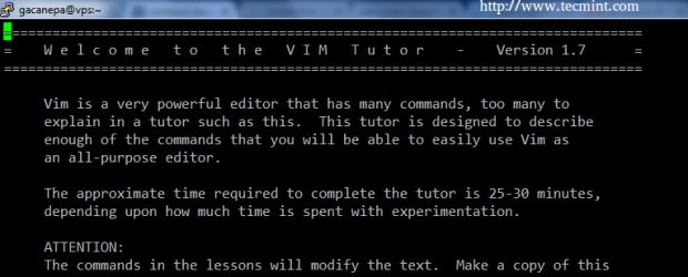  Ayuda y opciones de Vim Editor 