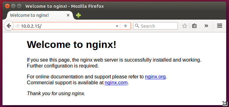 Confirm Nginx Installation