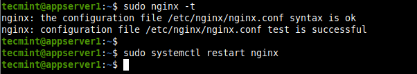 Check Nginx Configuration