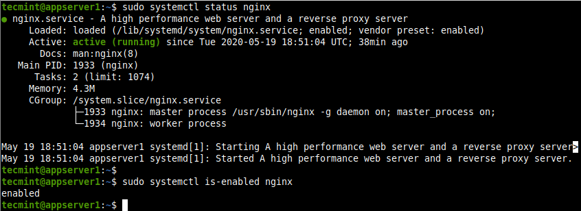 Check Nginx Service Status