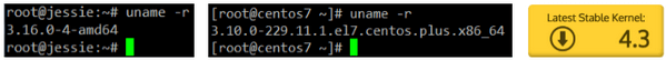 Check Linux Kernel Version