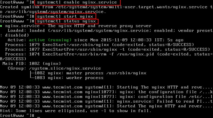 Enable Start Verify Nginx