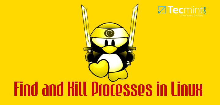 Find and Kill Running Processes in Linux