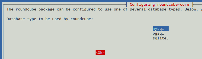  Seleccione el tipo de base de datos de Roundcube 