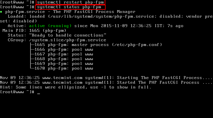 Start and Verify Php-Fpm