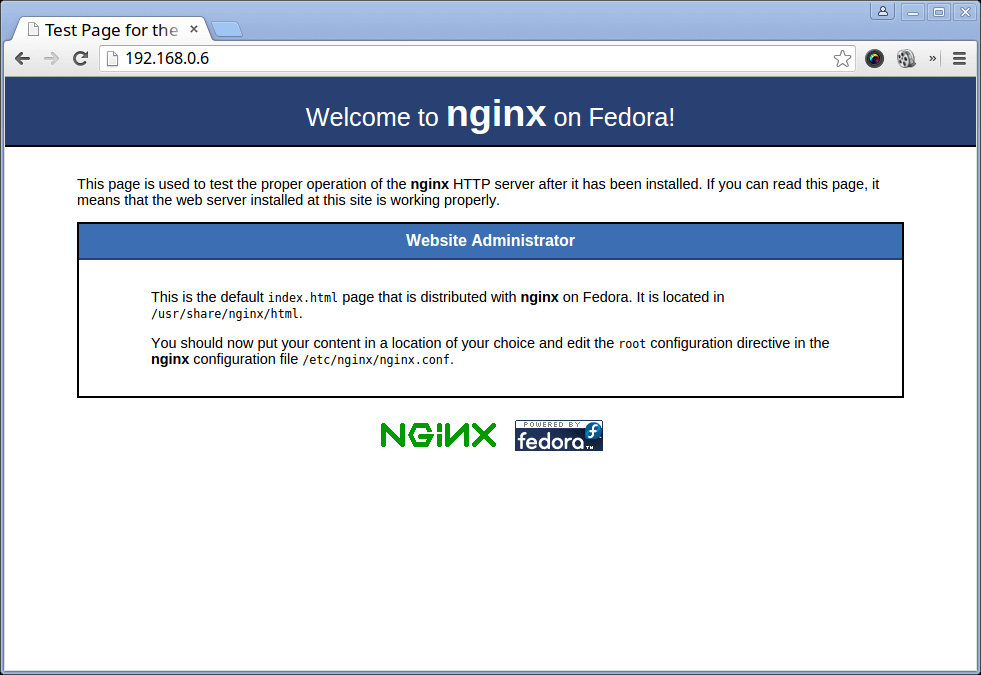 Verify Nginx Page