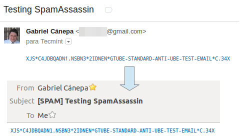 Verify SpamAssassin Detecting Spam Mails