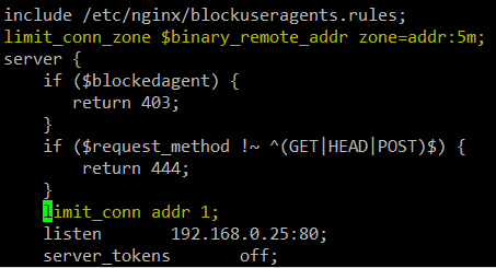 Limit Number of HTTP Requests in Nginx